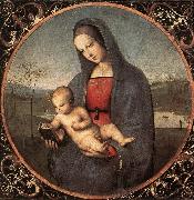 RAFFAELLO Sanzio Madonna with the Book (Connestabile Madonna)  dy oil painting artist